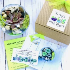 Mini Succulent Terrarium Kit -The Thrive Leaf Sales IMG 2522