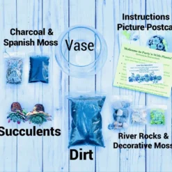 Mini Succulent Terrarium Kit -The Thrive Leaf Sales IMG 3394