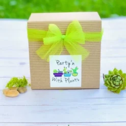 Mini Succulent Terrarium Kit -The Thrive Leaf Sales brown box 1